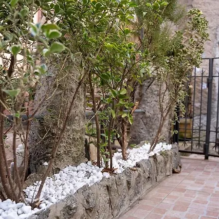 A 8 Min Per Centro Rustico Vista Sul Apartment Blevio
